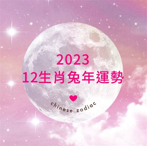 屬羊佩戴2023|【麥玲玲2023十二生肖整體運勢】2023兔年運勢＋十。